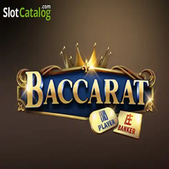 ব্যাকারেট C08 live